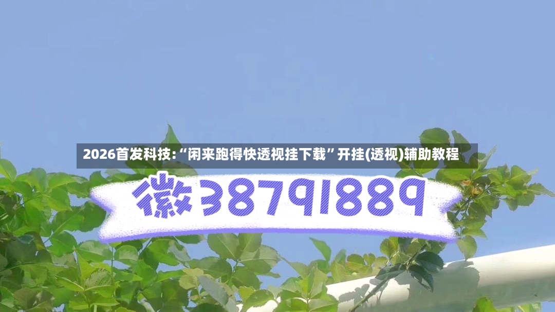 2026首发科技:“闲来跑得快透视挂下载”开挂(透视)辅助教程-第3张图片