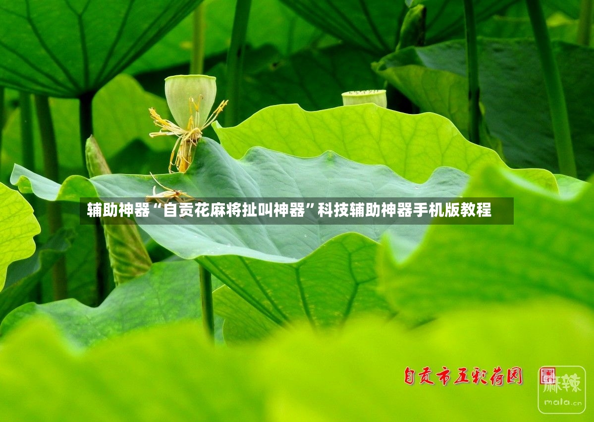 辅助神器“自贡花麻将扯叫神器”科技辅助神器手机版教程