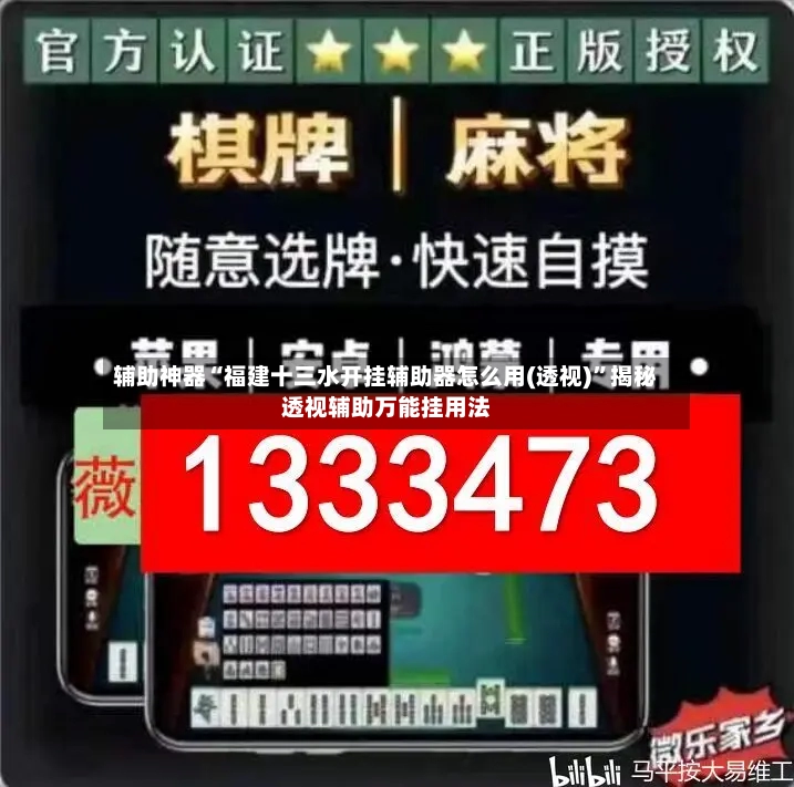 辅助神器“福建十三水开挂辅助器怎么用(透视)”揭秘透视辅助万能挂用法-第3张图片