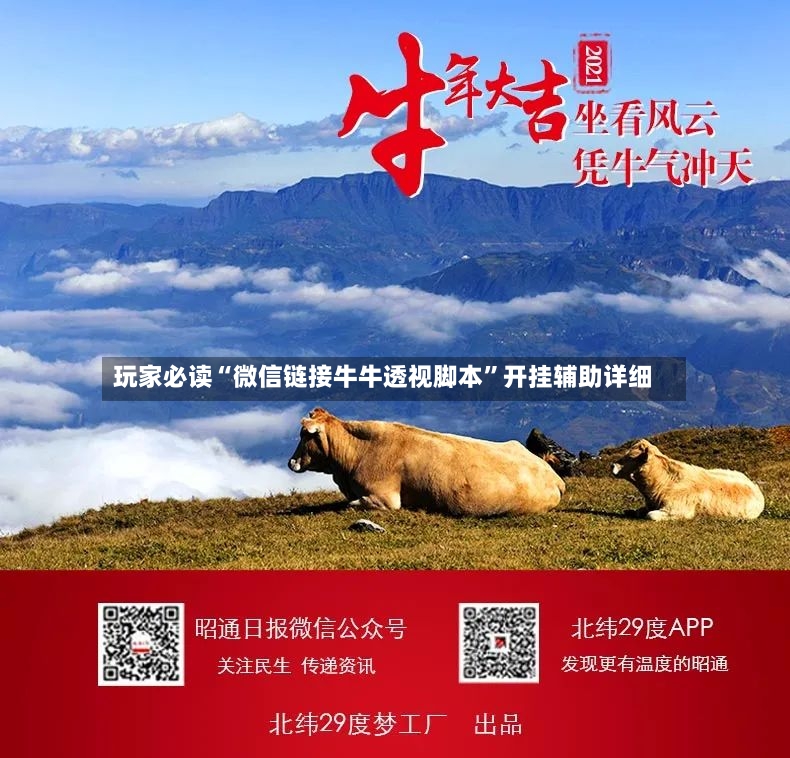 玩家必读“微信链接牛牛透视脚本”开挂辅助详细-第3张图片