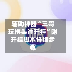 辅助神器“三哥玩摆头注开挂	”附开挂脚本详细步骤-第2张图片