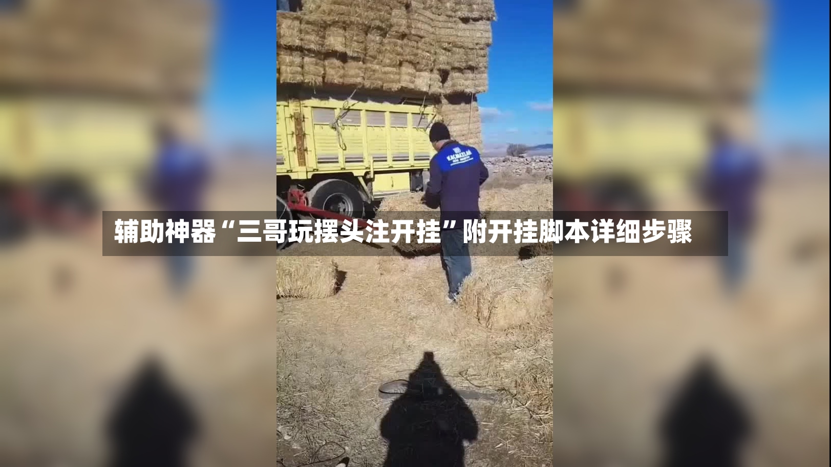辅助神器“三哥玩摆头注开挂”附开挂脚本详细步骤-第3张图片