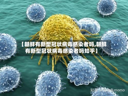 【朝鲜有新型冠状病毒感染者吗,朝鲜有新型冠状病毒感染者吗知乎】