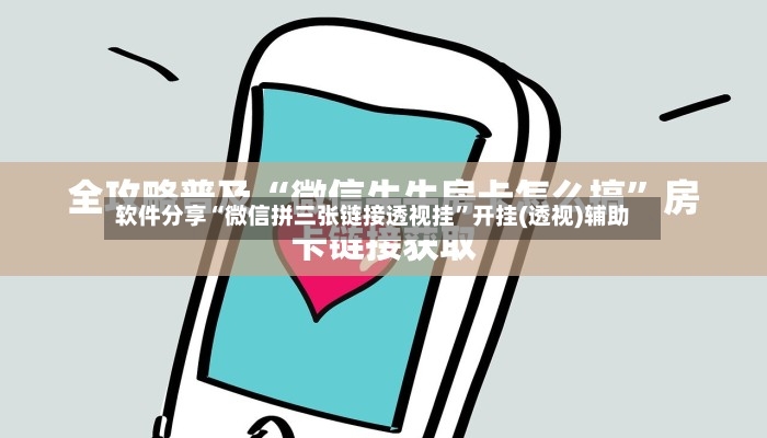 软件分享“微信拼三张链接透视挂	”开挂(透视)辅助-第2张图片