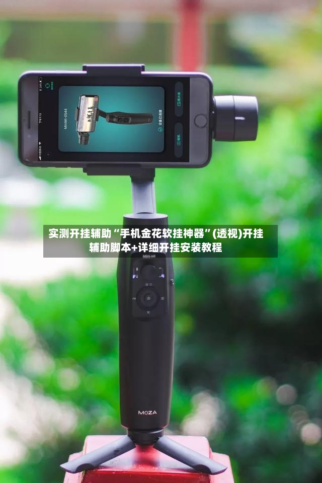 实测开挂辅助“手机金花软挂神器	”(透视)开挂辅助脚本+详细开挂安装教程-第2张图片