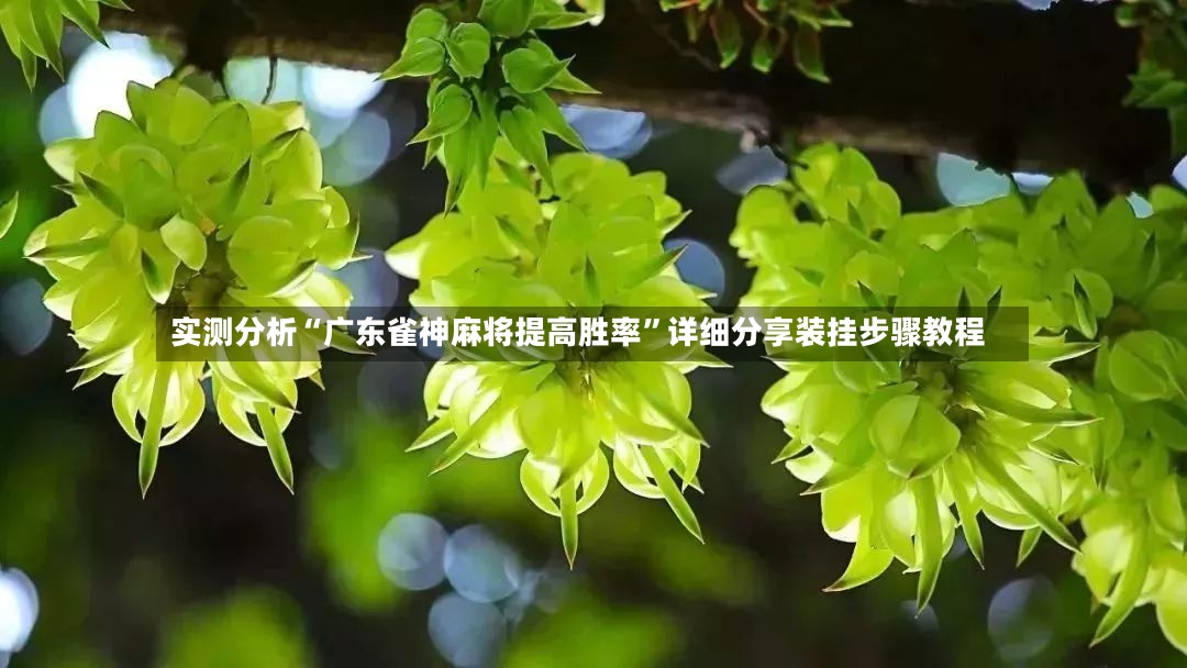 实测分析“广东雀神麻将提高胜率”详细分享装挂步骤教程-第2张图片