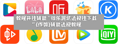 教程开挂辅助“微乐踢坑透视挂下载”(作弊)辅助透视教程