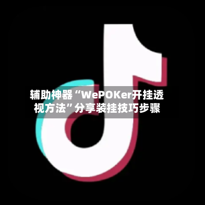 辅助神器“WePOKer开挂透视方法”分享装挂技巧步骤-第2张图片