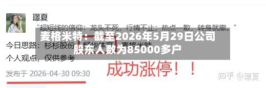 麦格米特：截至2026年5月29日公司股东人数为85000多户