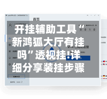 开挂辅助工具“新鸿狐大厅有挂吗”透视挂!详细分享装挂步骤-第2张图片