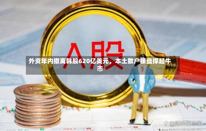 外资年内撤离韩股620亿美元	，本土散户接盘撑起牛市-第2张图片