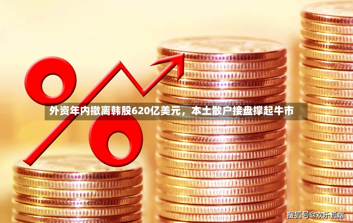 外资年内撤离韩股620亿美元，本土散户接盘撑起牛市-第3张图片
