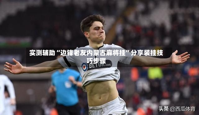 实测辅助“边锋老友内蒙古麻将挂”分享装挂技巧步骤-第2张图片