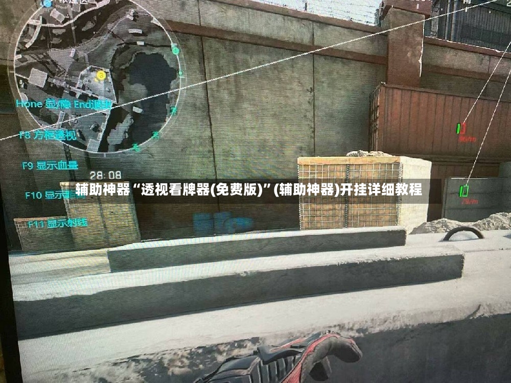 辅助神器“透视看牌器(免费版)”(辅助神器)开挂详细教程-第3张图片
