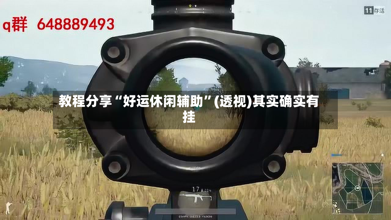 教程分享“好运休闲辅助”(透视)其实确实有挂-第2张图片