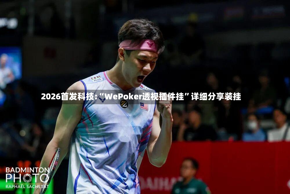 2026首发科技:“WePoker透视插件挂”详细分享装挂-第2张图片
