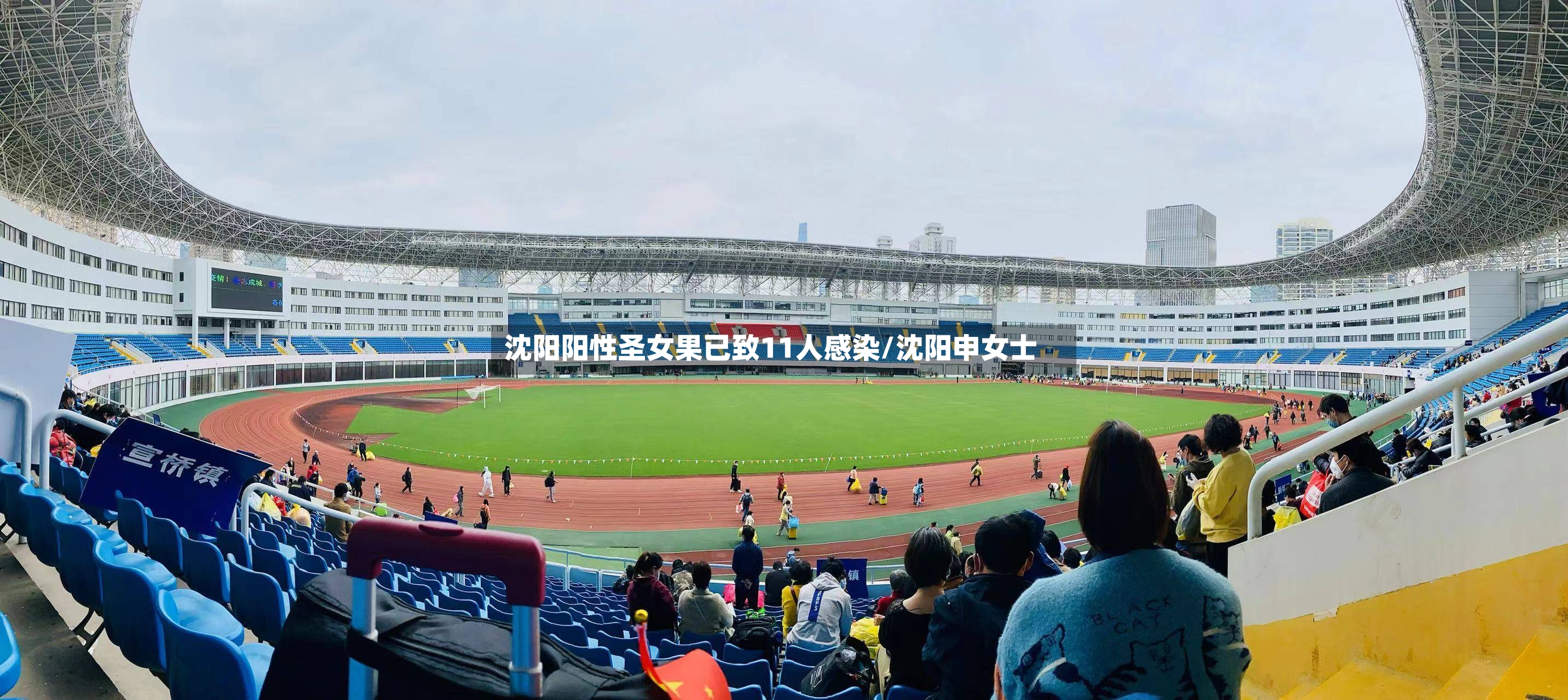 沈阳阳性圣女果已致11人感染/沈阳申女士-第2张图片
