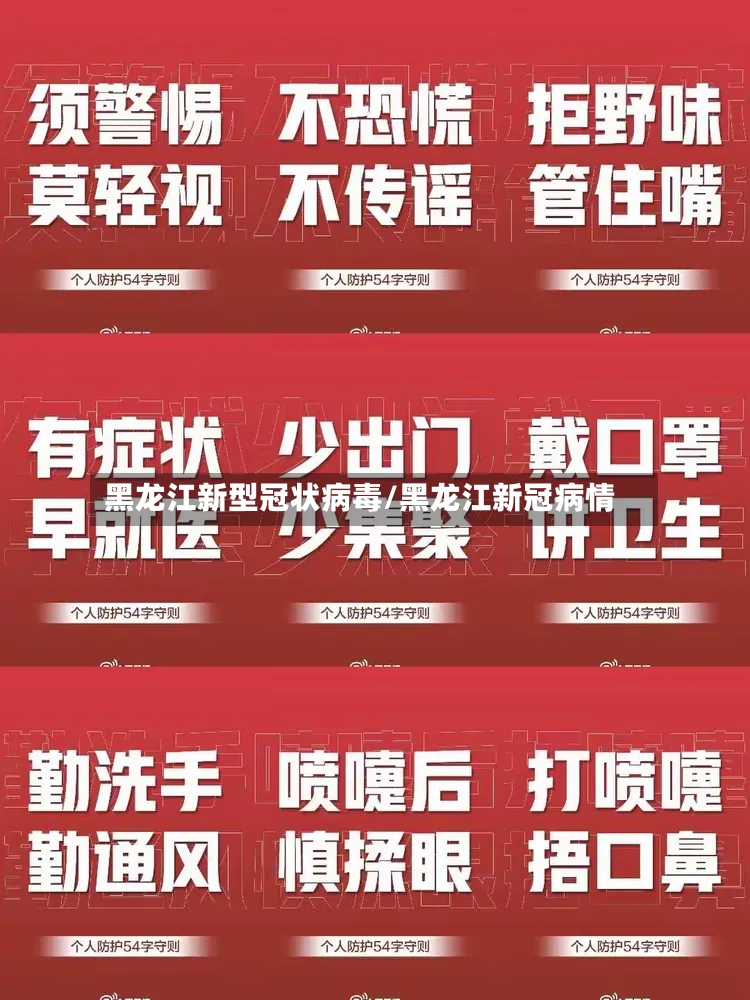 黑龙江新型冠状病毒/黑龙江新冠病情-第2张图片