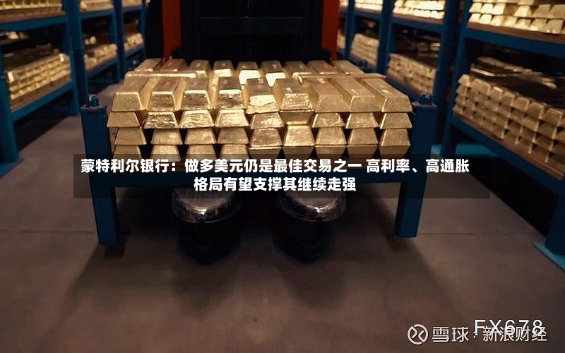 蒙特利尔银行：做多美元仍是最佳交易之一 高利率、高通胀格局有望支撑其继续走强