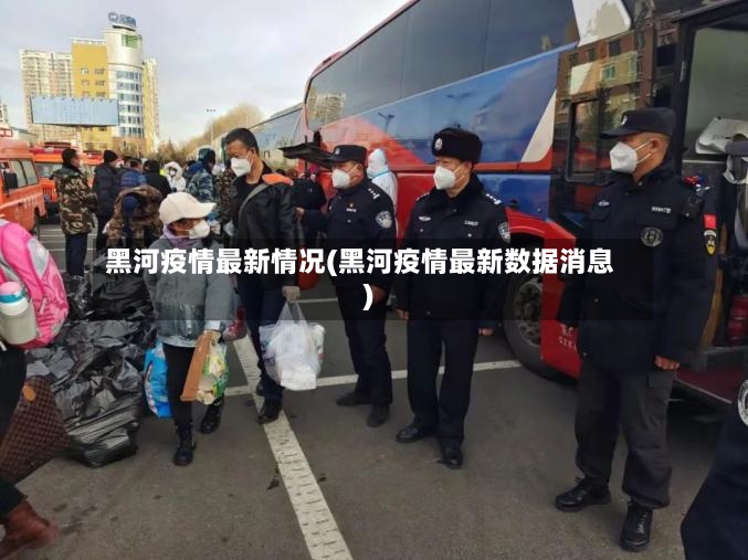 黑河疫情最新情况(黑河疫情最新数据消息)-第2张图片