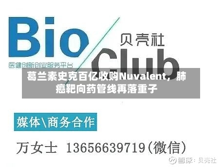 葛兰素史克百亿收购Nuvalent，肺癌靶向药管线再落重子-第3张图片