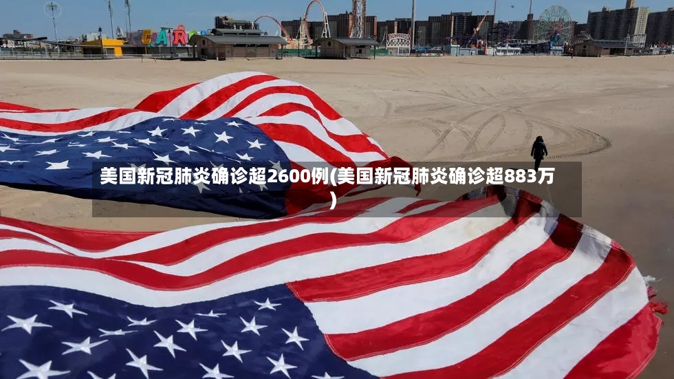 美国新冠肺炎确诊超2600例(美国新冠肺炎确诊超883万)-第2张图片