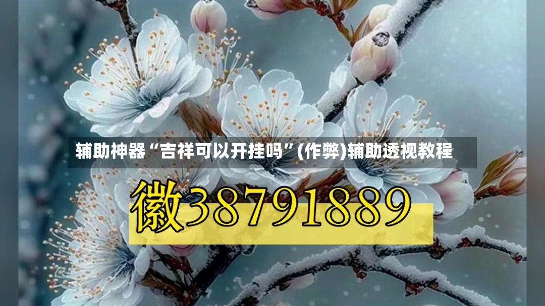 辅助神器“吉祥可以开挂吗”(作弊)辅助透视教程-第2张图片