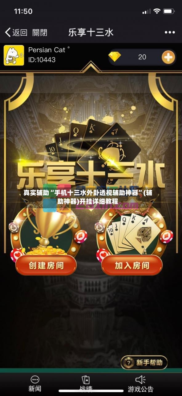 真实辅助“手机十三水外卦透视辅助神器”(辅助神器)开挂详细教程-第3张图片