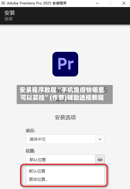 安装程序教程“手机跑得快哪里可以买挂”(作弊)辅助透视教程-第3张图片