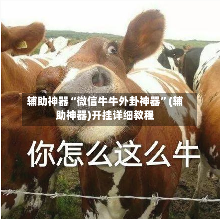 辅助神器“微信牛牛外卦神器”(辅助神器)开挂详细教程-第2张图片