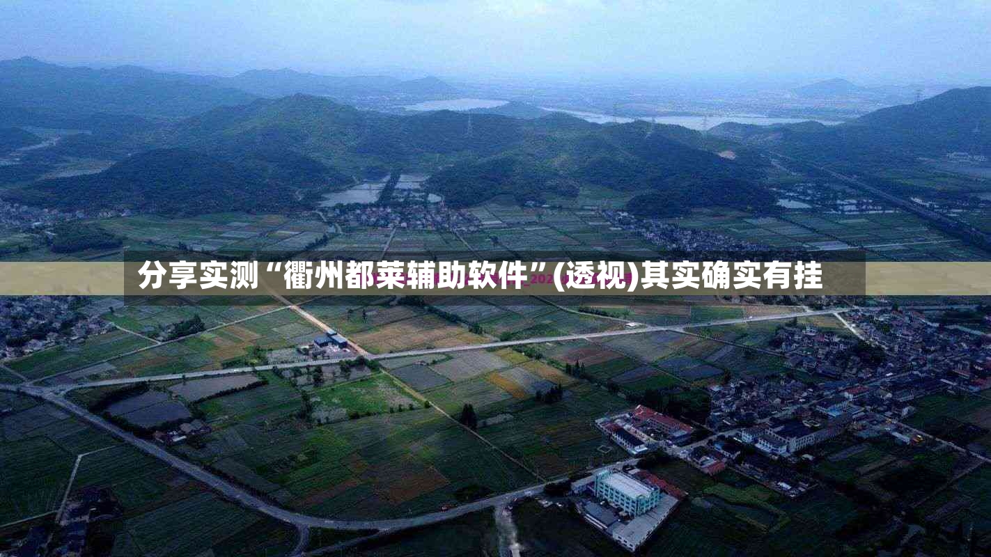 分享实测“衢州都莱辅助软件”(透视)其实确实有挂-第2张图片