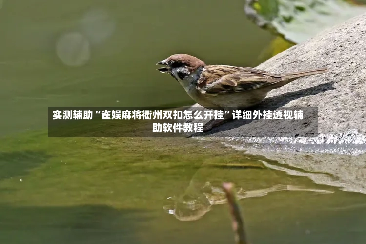 实测辅助“雀娱麻将衢州双扣怎么开挂”详细外挂透视辅助软件教程