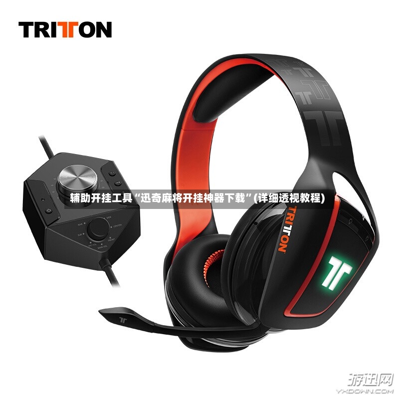 辅助开挂工具“迅奇麻将开挂神器下载”(详细透视教程)-第2张图片