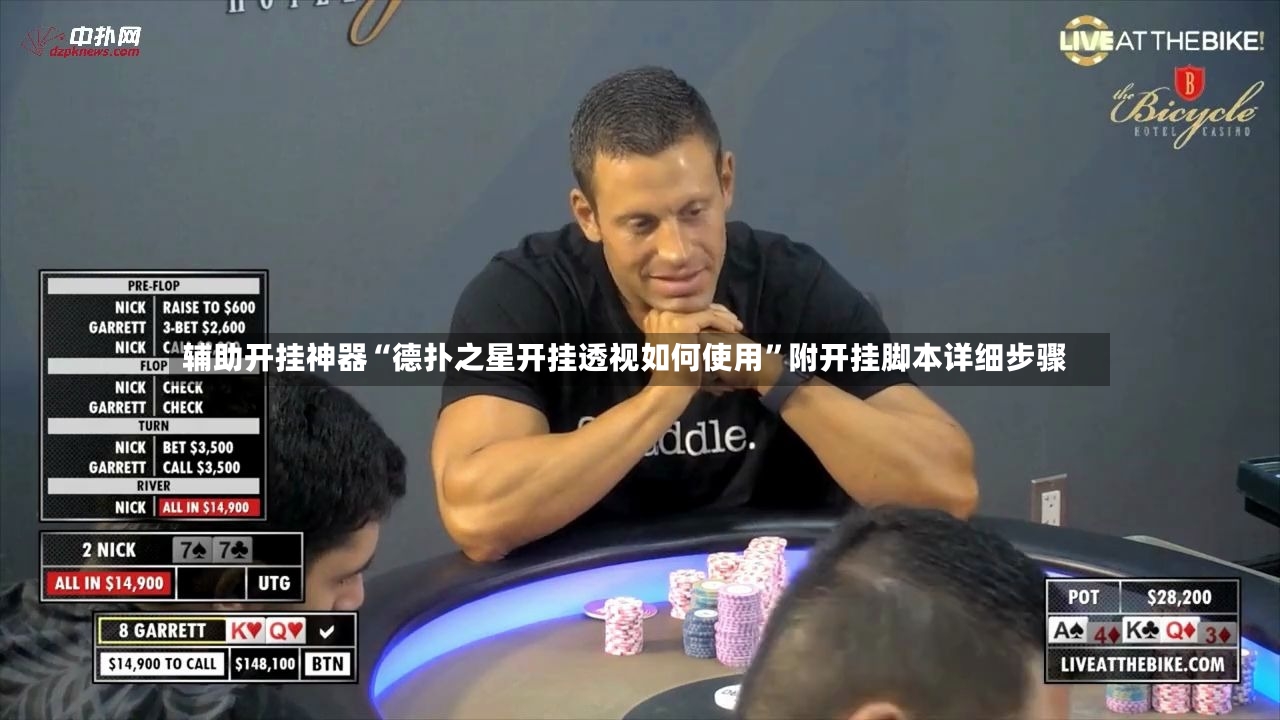 辅助开挂神器“德扑之星开挂透视如何使用”附开挂脚本详细步骤-第2张图片