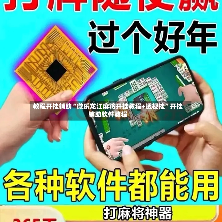 教程开挂辅助“微乐龙江麻将开挂教程+透视挂”开挂辅助软件教程-第3张图片