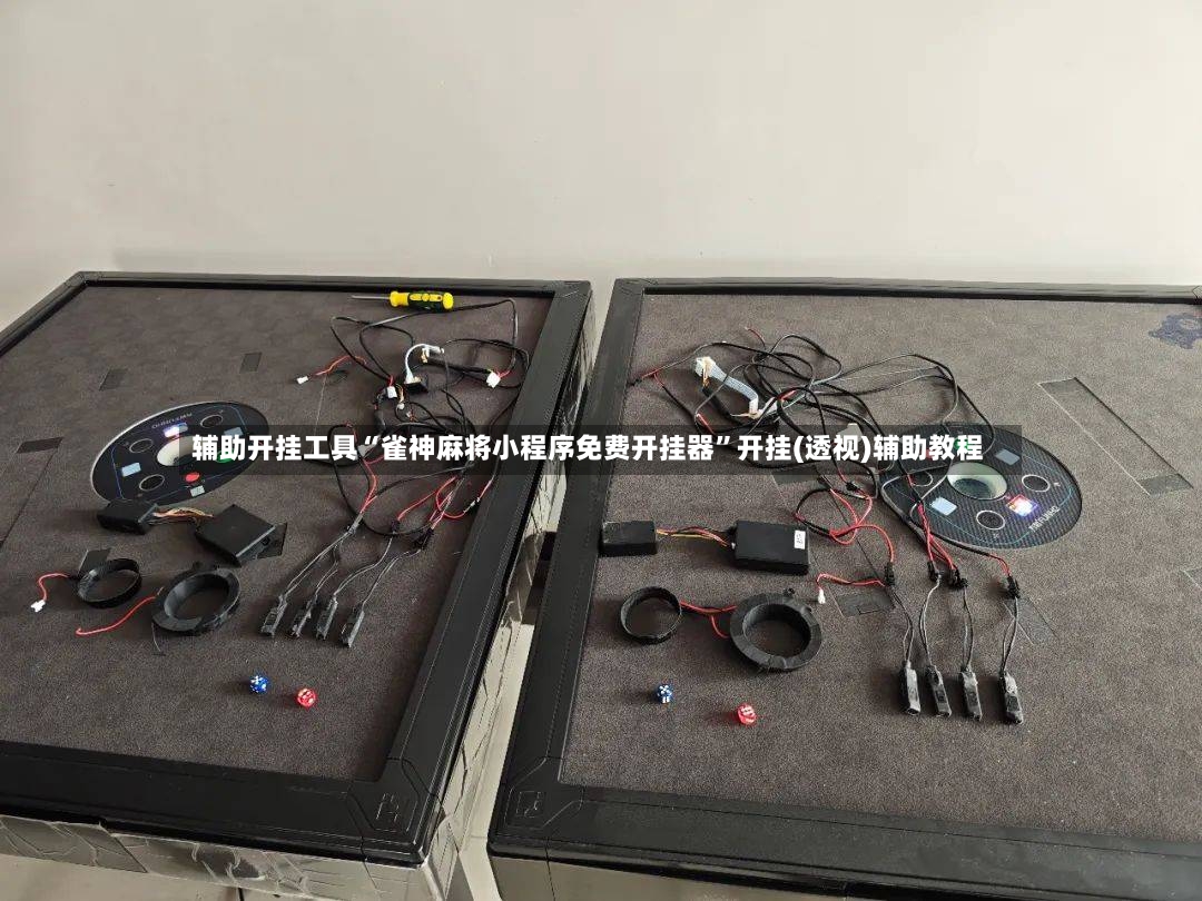 辅助开挂工具“雀神麻将小程序免费开挂器”开挂(透视)辅助教程-第2张图片
