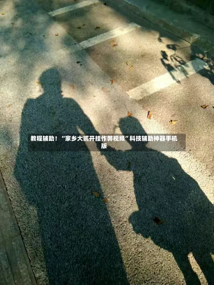 教程辅助！“家乡大贰开挂作弊视频”科技辅助神器手机版-第3张图片