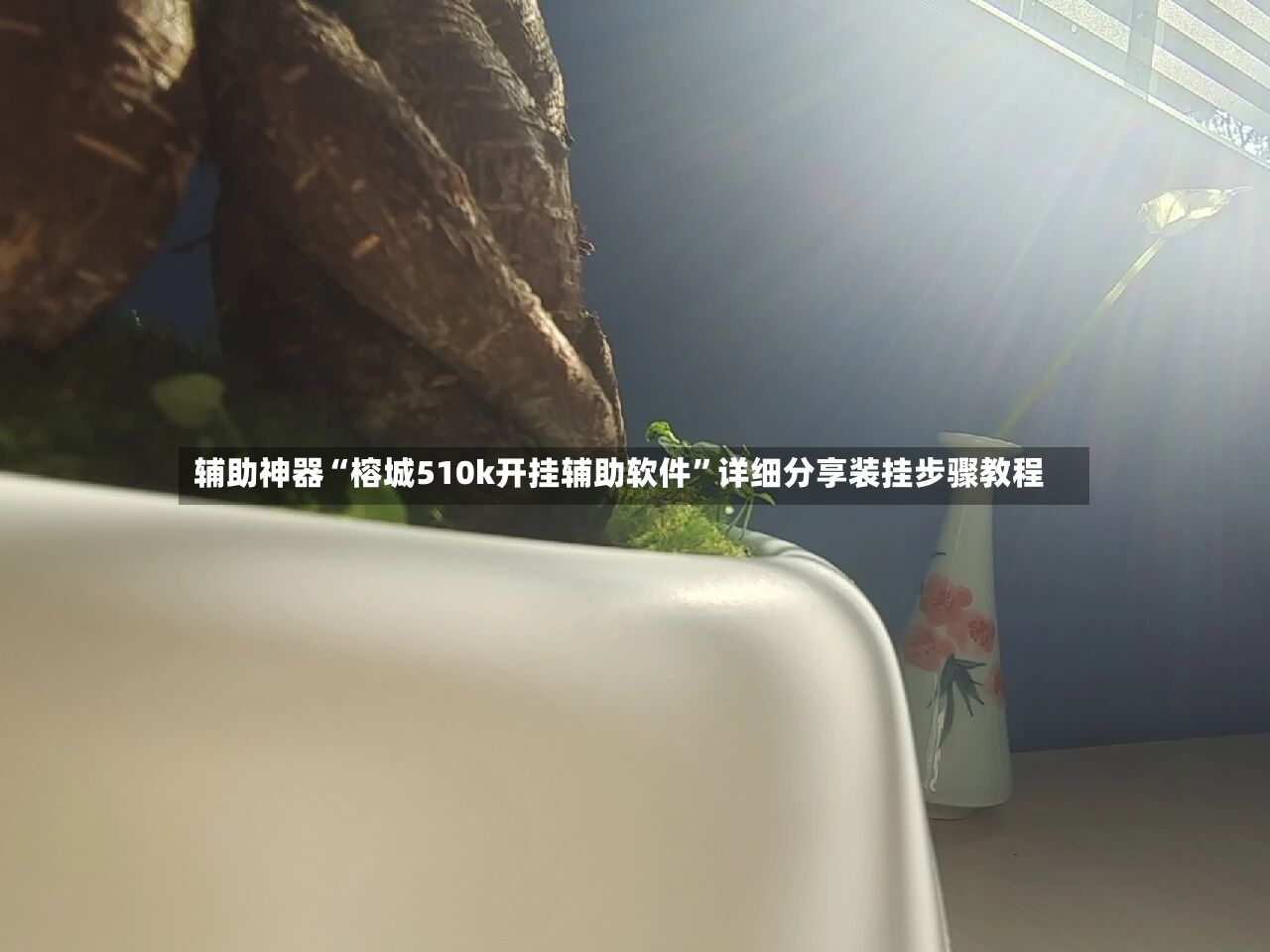 辅助神器“榕城510k开挂辅助软件	”详细分享装挂步骤教程-第3张图片