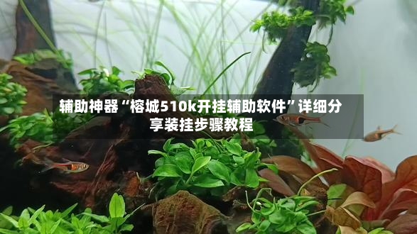 辅助神器“榕城510k开挂辅助软件”详细分享装挂步骤教程-第2张图片