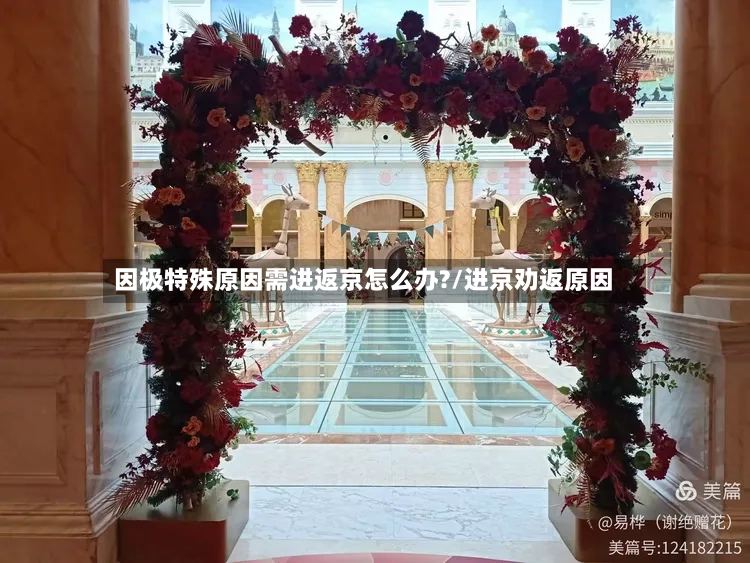 因极特殊原因需进返京怎么办?/进京劝返原因-第2张图片