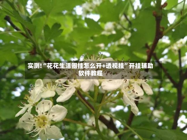 实测!“花花生活圈挂怎么开+透视挂”开挂辅助软件教程-第2张图片