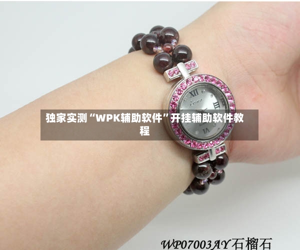 独家实测“WPK辅助软件”开挂辅助软件教程