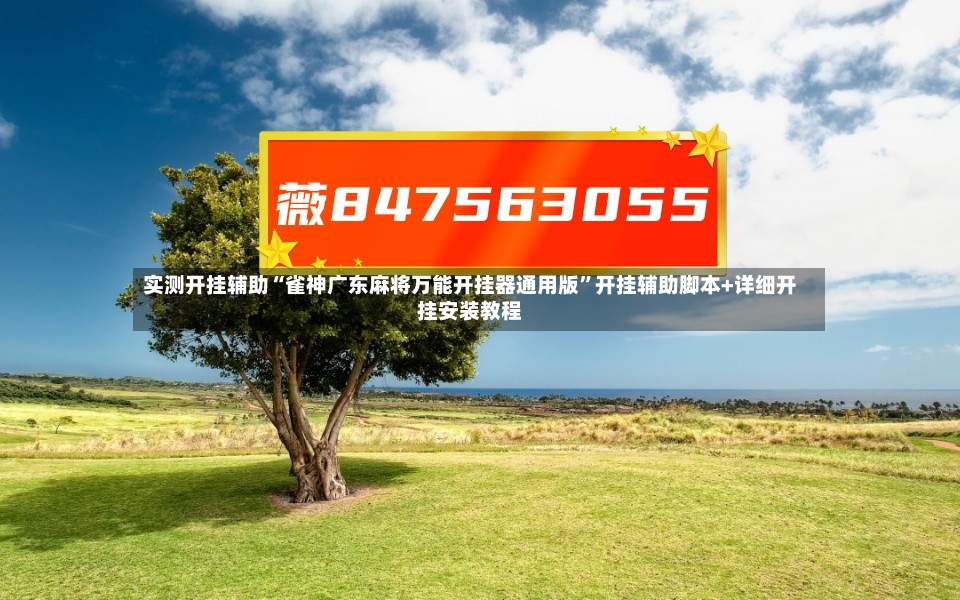 实测开挂辅助“雀神广东麻将万能开挂器通用版”开挂辅助脚本+详细开挂安装教程-第2张图片