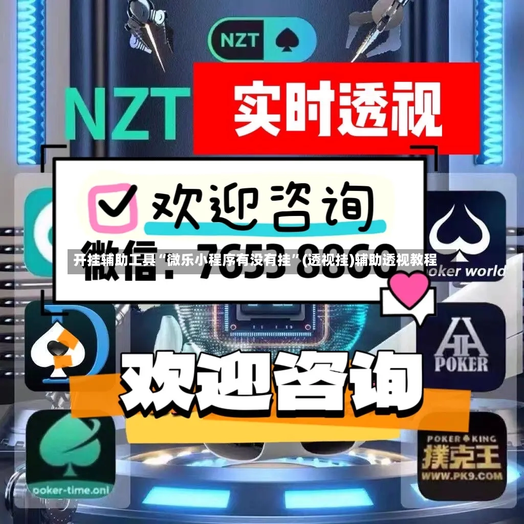 开挂辅助工具“微乐小程序有没有挂”(透视挂)辅助透视教程-第2张图片