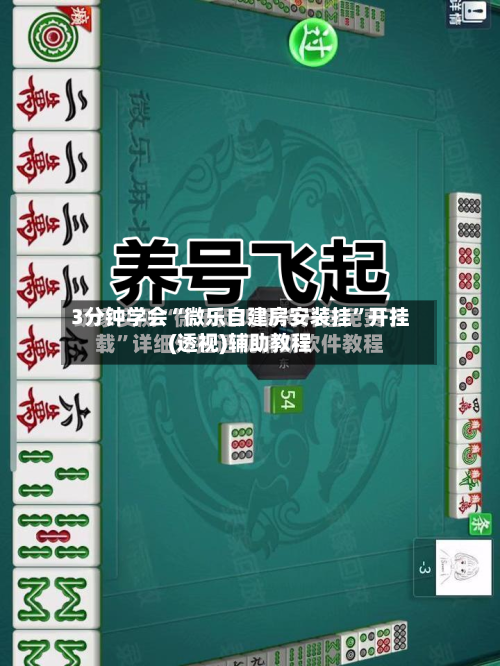 3分钟学会“微乐自建房安装挂”开挂(透视)辅助教程-第3张图片