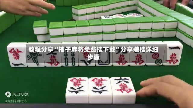 教程分享“柚子麻将免费挂下载	”分享装挂详细步骤-第3张图片