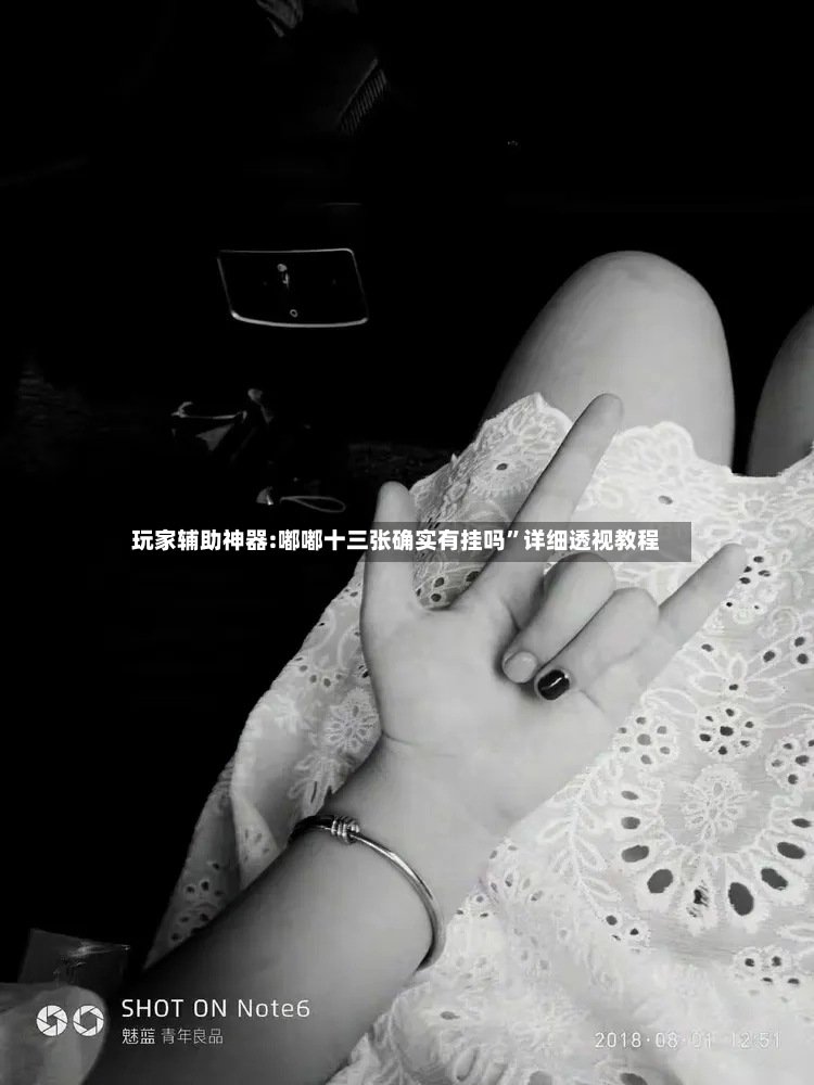 玩家辅助神器:嘟嘟十三张确实有挂吗”详细透视教程-第1张图片