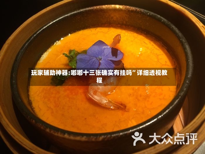 玩家辅助神器:嘟嘟十三张确实有挂吗”详细透视教程-第2张图片
