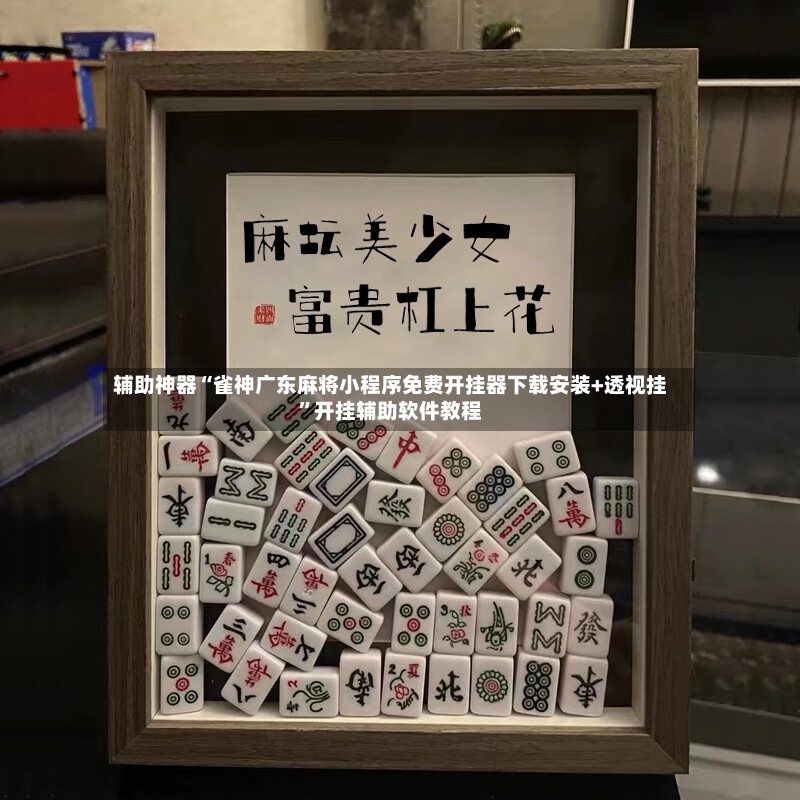 辅助神器“雀神广东麻将小程序免费开挂器下载安装+透视挂”开挂辅助软件教程-第3张图片