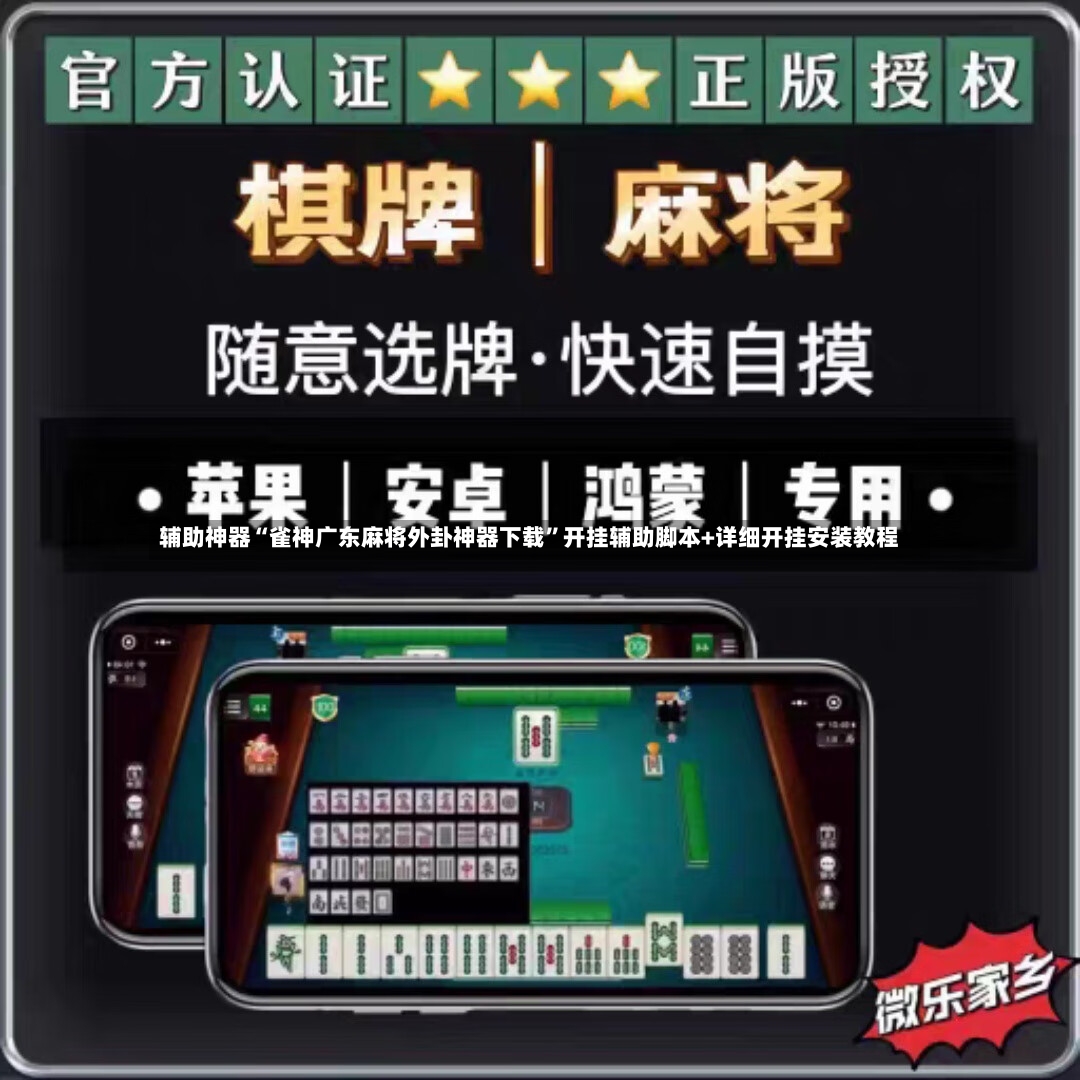 辅助神器“雀神广东麻将外卦神器下载”开挂辅助脚本+详细开挂安装教程-第2张图片